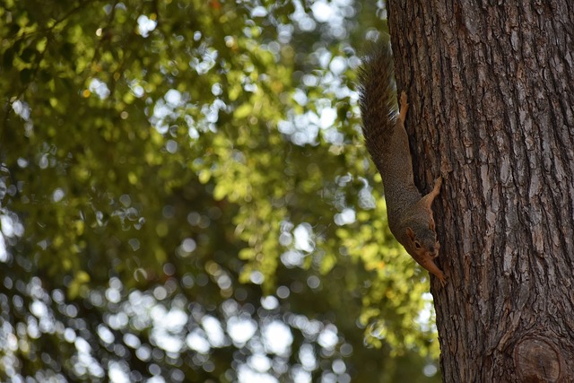 他稳定的表 他稳定的表