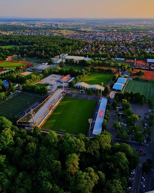 体育娱乐内 体育娱乐内