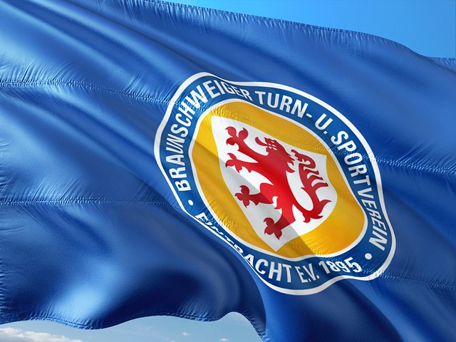 的未来图景 的未来图景