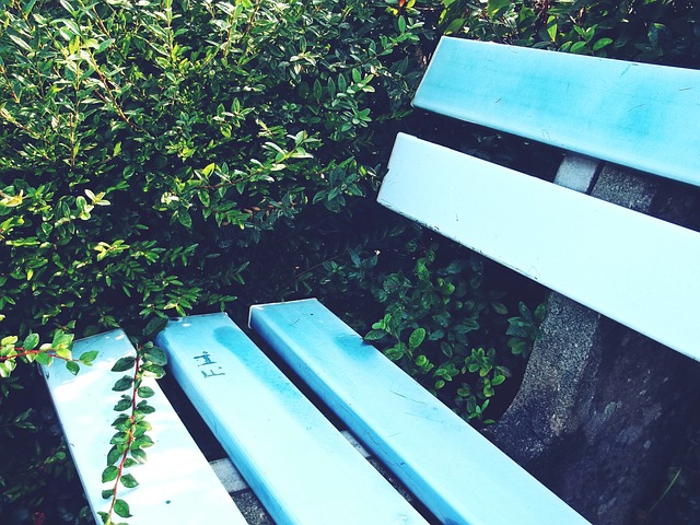 无愧的领军 无愧的领军