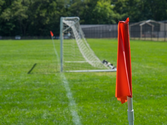 分的机会 分的机会