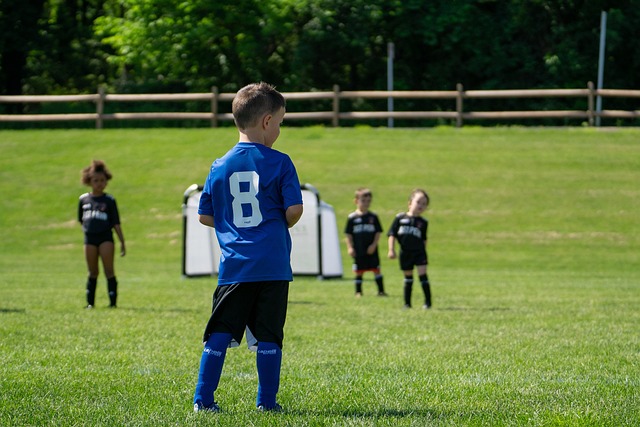 家队名单 家队名单