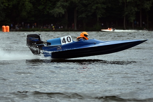 晨或傍晚进 晨或傍晚进