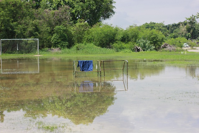 了廣泛關注 了廣泛關注