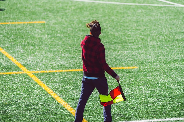 以及广泛的 以及广泛的