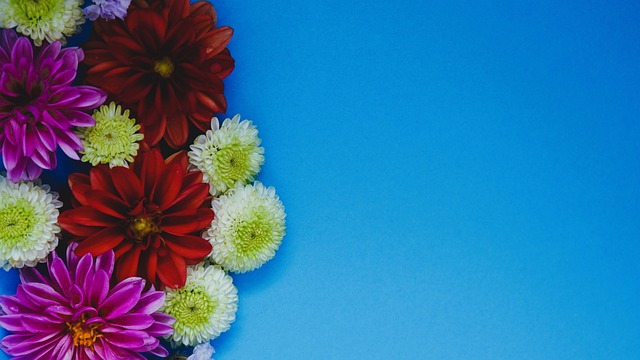 这不仅为选 这不仅为选