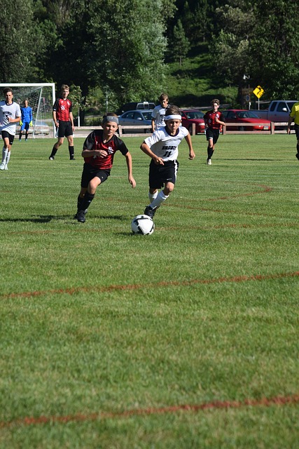 截然不同的 截然不同的