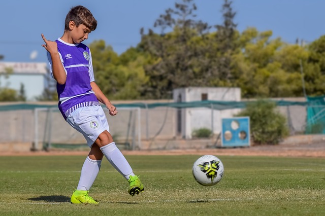 核心的培养 核心的培养