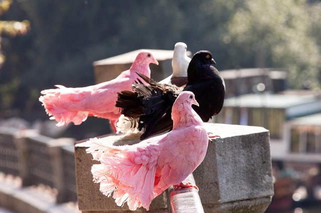 提高个人竞 提高个人竞
