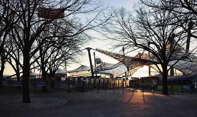 取了多元化 取了多元化